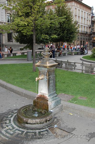 DSC_0610.JPG