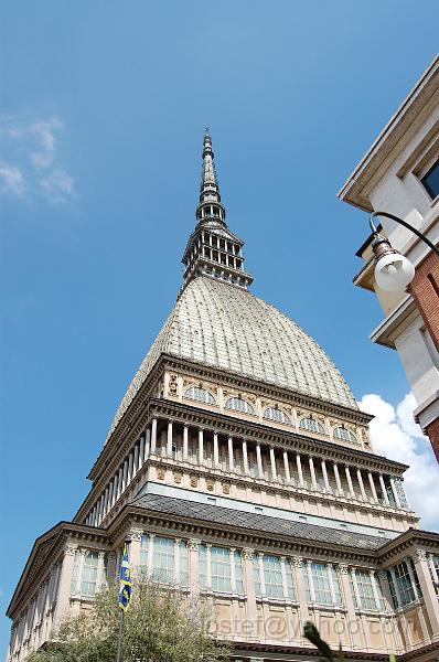 DSC_0499.JPG