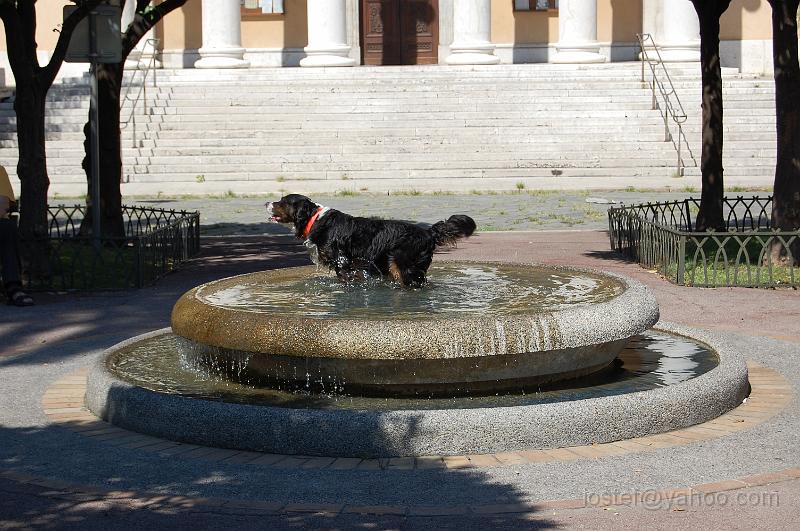 DSC_0018.JPG