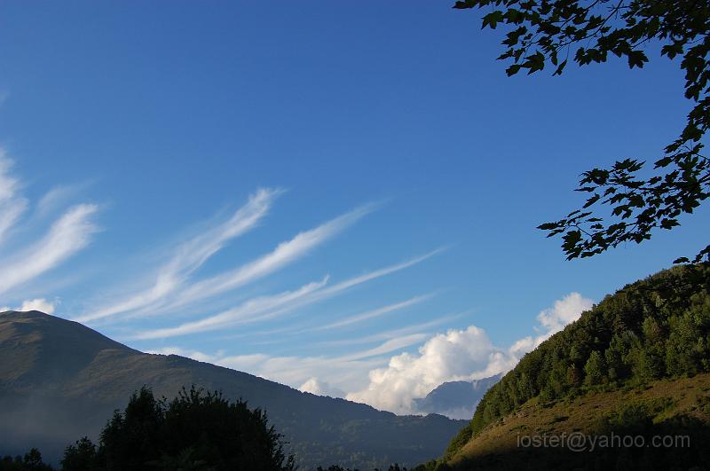 DSC_0547.JPG