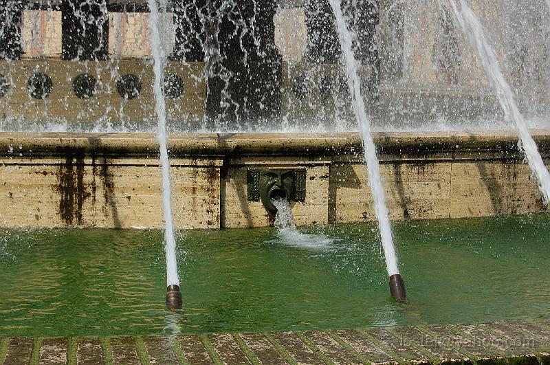 DSC_0306.JPG