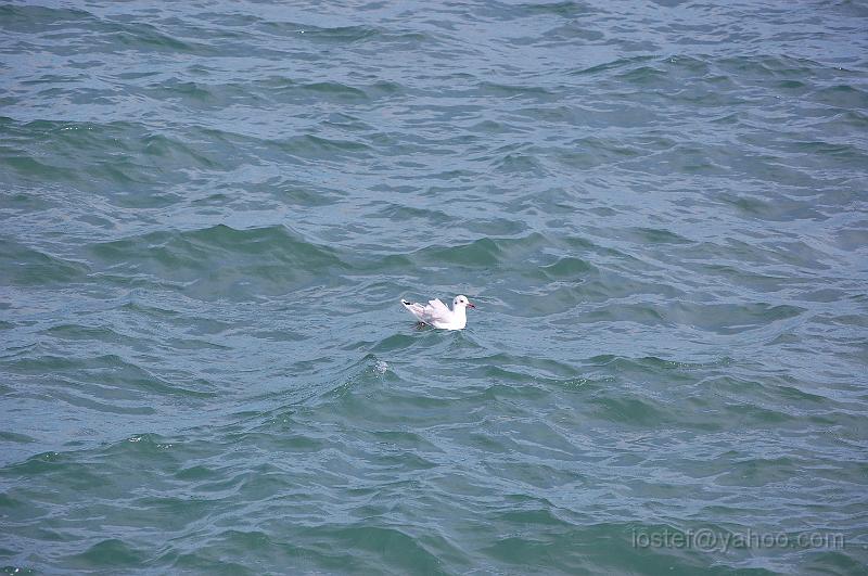 DSC_0076.JPG