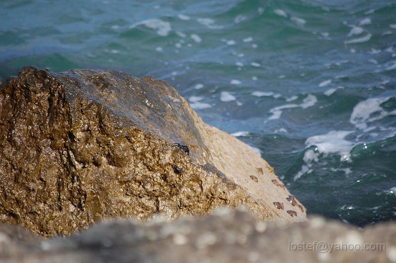 DSC_0079.JPG