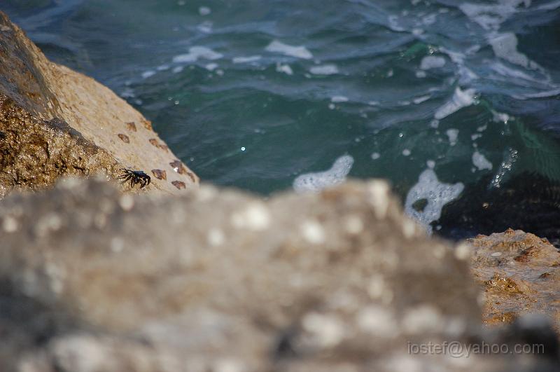 DSC_0080.JPG
