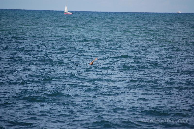 DSC_0090.JPG