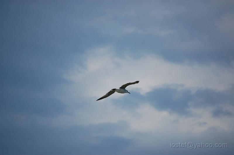 DSC_0161.JPG