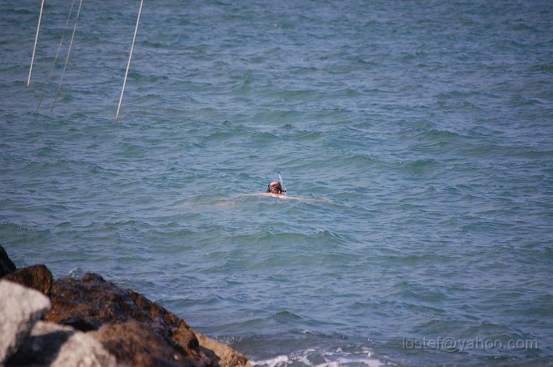 DSC_0165.JPG