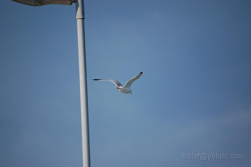 DSC_0193.JPG