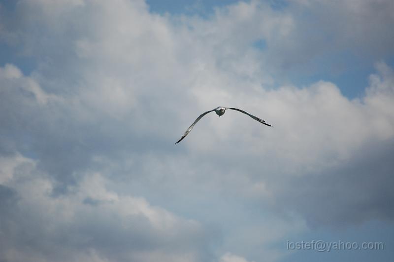 DSC_0199.JPG