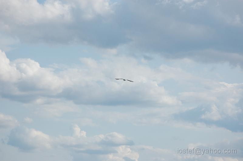 DSC_0201.JPG