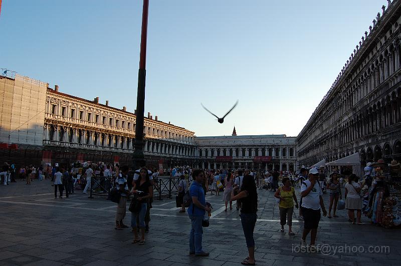 DSC_0197.JPG