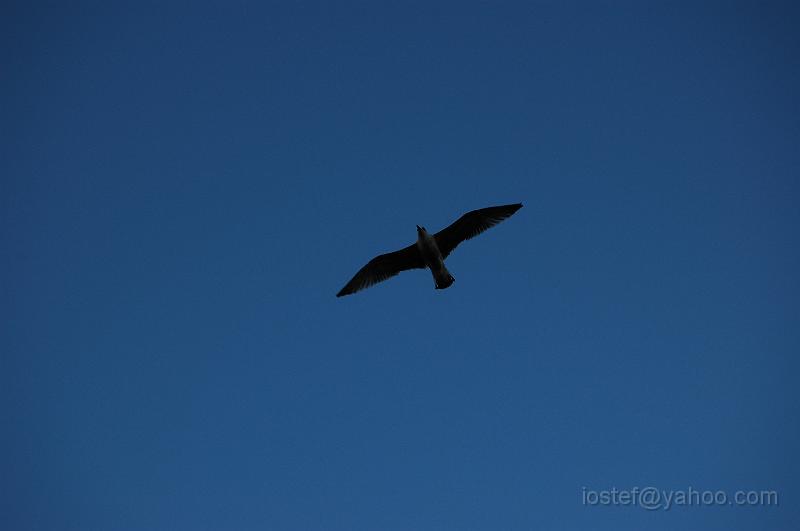 DSC_0272.JPG