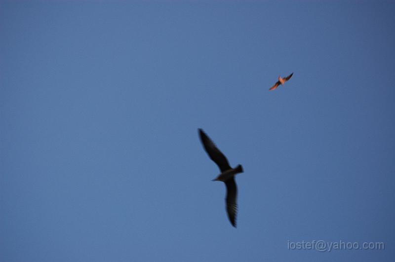 DSC_0274.JPG