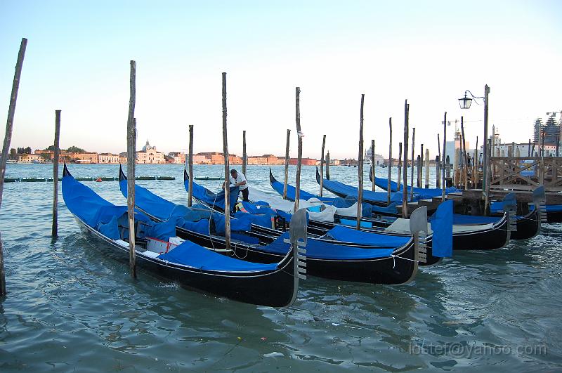 DSC_0280.JPG