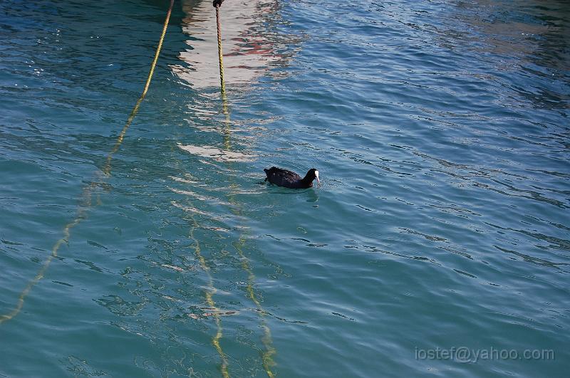 DSC_0606.JPG