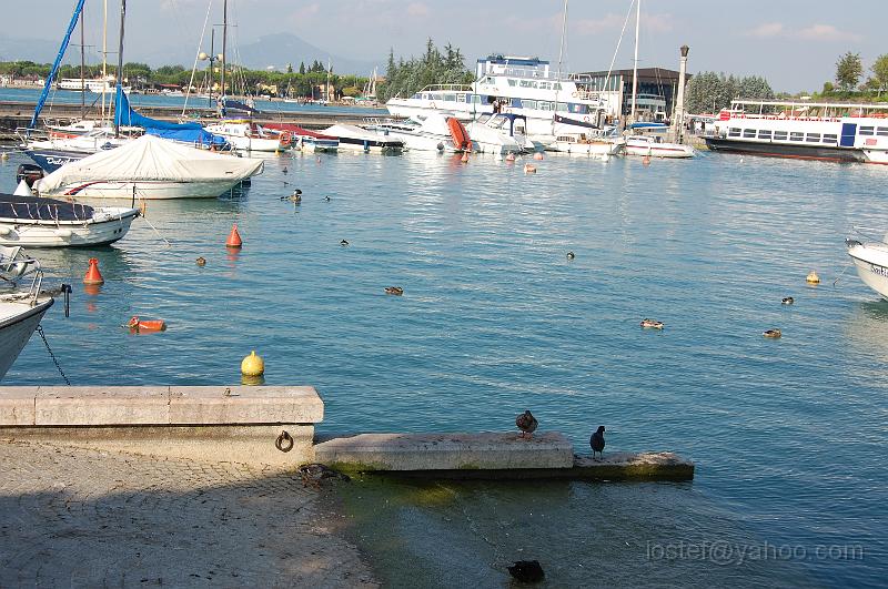 DSC_0625.JPG