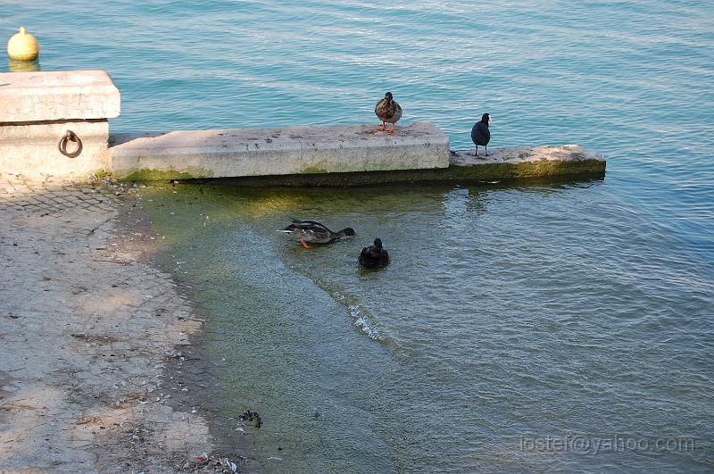 DSC_0626.JPG